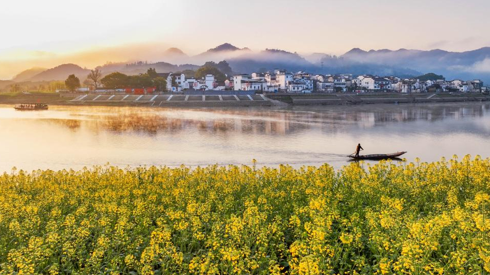 鏡觀中國丨立生態環境法典 譜美麗中國新篇