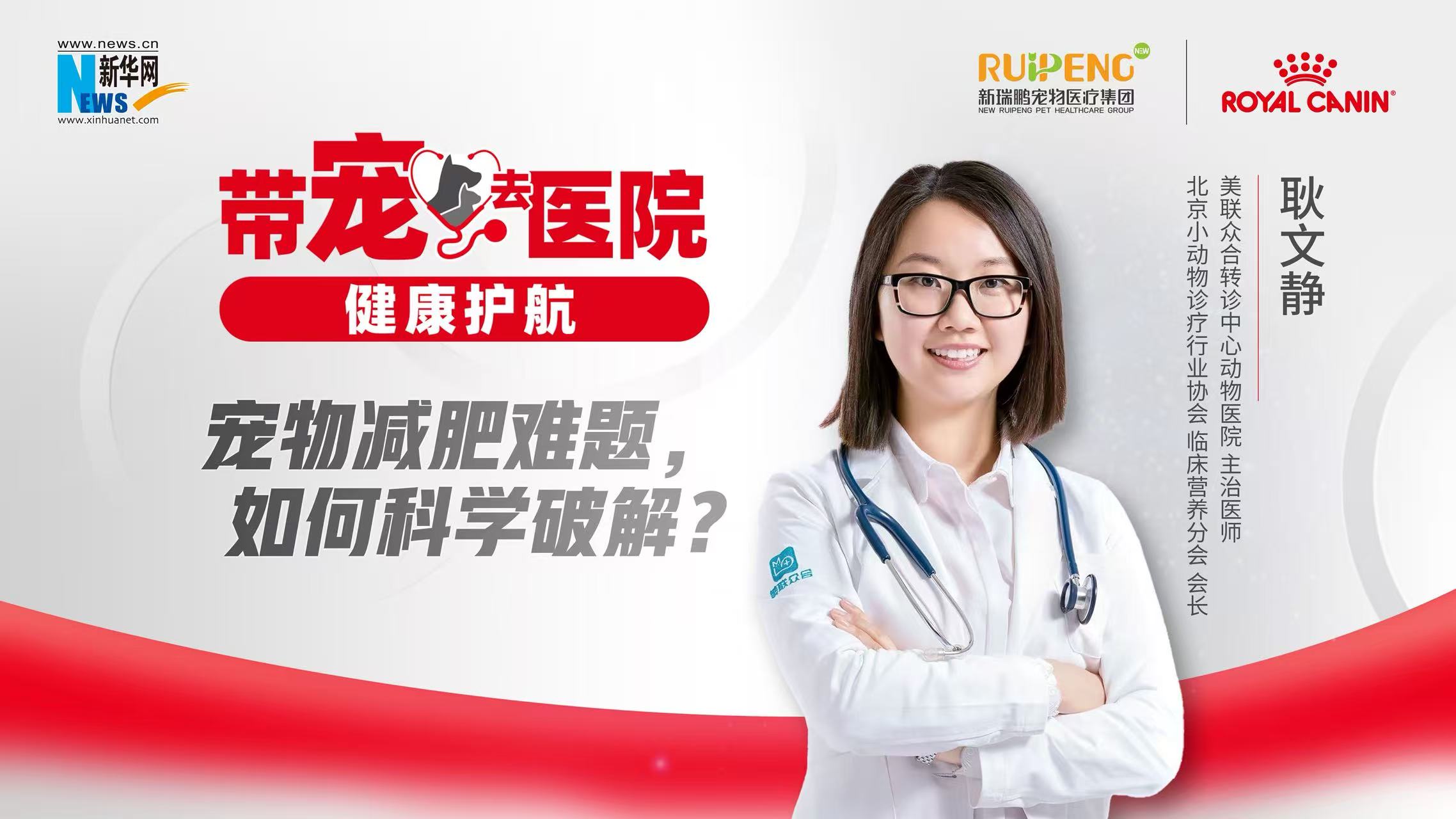 帶寵去醫(yī)院 健康護(hù)航｜寵物減肥難題，如何科學(xué)破解？