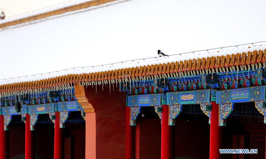 (InPalaceMuseum)CHINA-BEIJING-PALACE-MUSEUM-WINTER (CN)