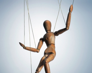 應調查是否存在信息操縱