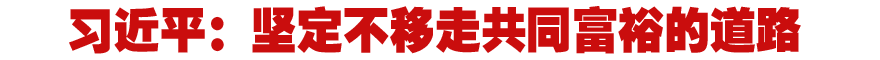 習(xí)近平:堅定不移走共同富裕的道路