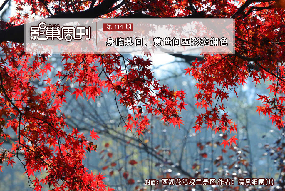 西湖花港觀魚景區