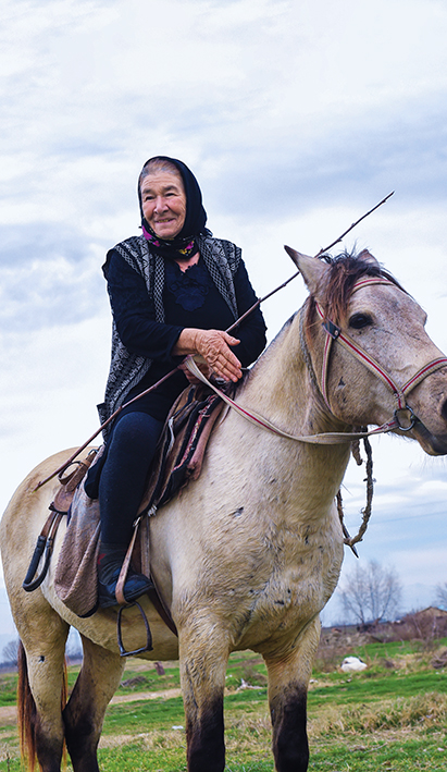 阿塞拜疆牧場上的馬蹄聲