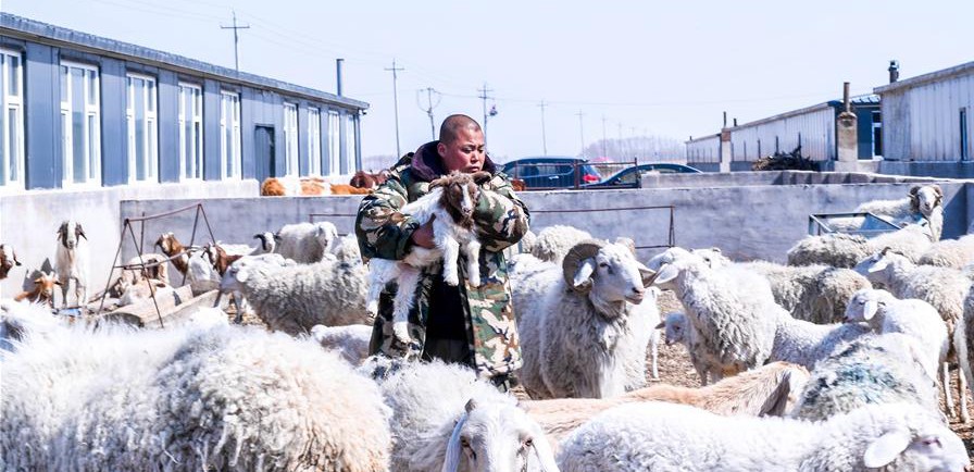 易地搬遷讓村民“住得好、能致富”