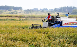 40年，小崗人的18個&ldquo;第一次&rdquo;