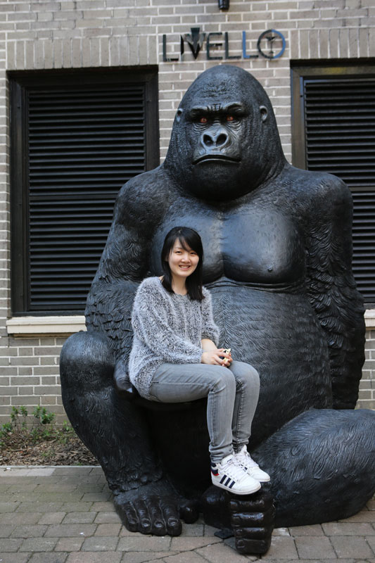 新華社國際部駱珺:占領輿論制高點應是新華社記者的擔當