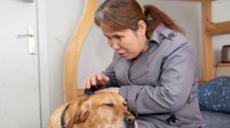 “有你在身旁,真好”