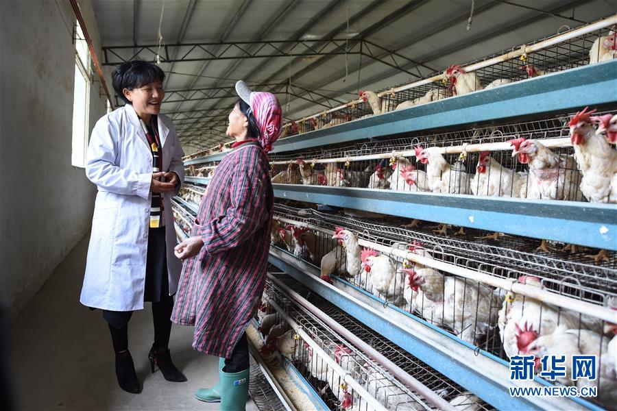 （十九大代表回基層&middot;圖文互動(dòng)）（1）擺脫貧困后，還應(yīng)有更高的精神追求&mdash;&mdash;十九大代表余留芬的&ldquo;宣講時(shí)光&rdquo;