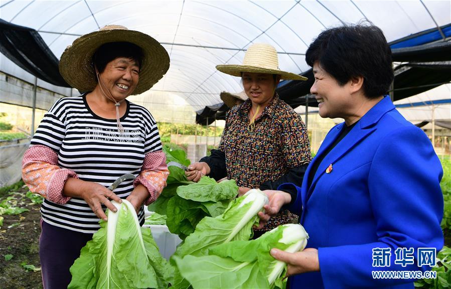 (十九大代表在基層·圖文互動)(3)沈騰香:保護好綠水青山 圓鄉親們小康夢