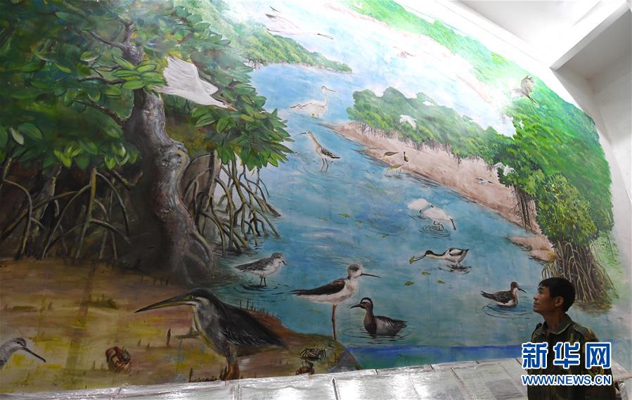 （圖文互動）（5）十年樹木、紅樹成林——“海上森林”回歸記