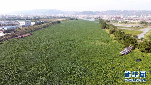 （圖文互動）（1）“白練”變“黑龍”，江河變“草原”－－粵東母親河為何污染20多年難治理？