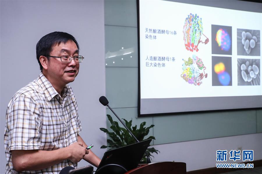 (科技)(2)中國“創造”世界首例單條染色體真核細胞