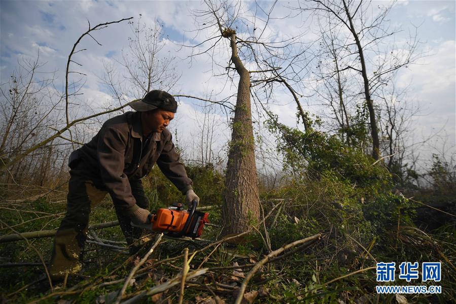 (大江奔流——來自長江經濟帶的報道·新華全媒頭條·圖文互動)(6)打造經濟高質量發展的強勁引擎——深入推動長江經濟帶發展述評