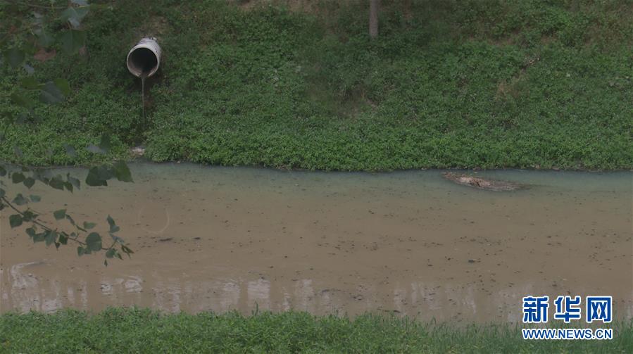 (新華視點(diǎn)·圖文互動(dòng))(4)上游洪水來(lái)襲下游魚蟹死亡,泄洪為何變泄污?