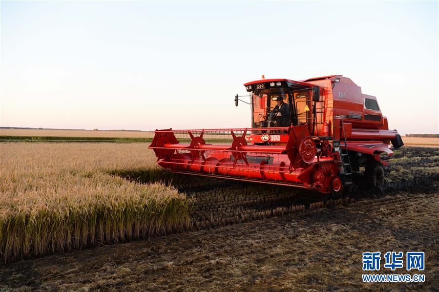 (新華全媒頭條·圖文互動)(1)情系黑土地——習近平總書記考察東北三省回訪記