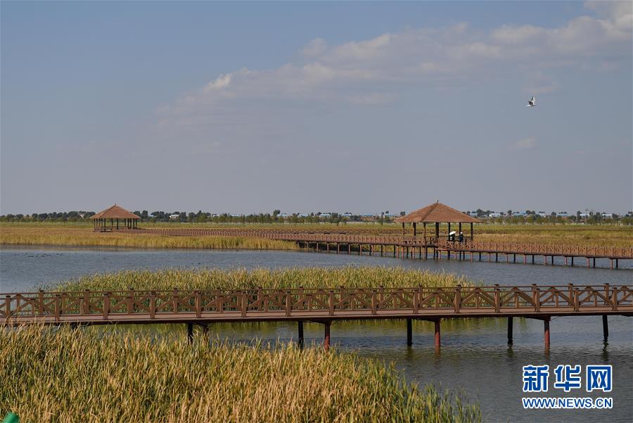 （新華全媒頭條&middot;圖文互動(dòng)）（10）情系黑土地&mdash;&mdash;習(xí)近平總書記考察東北三省回訪記