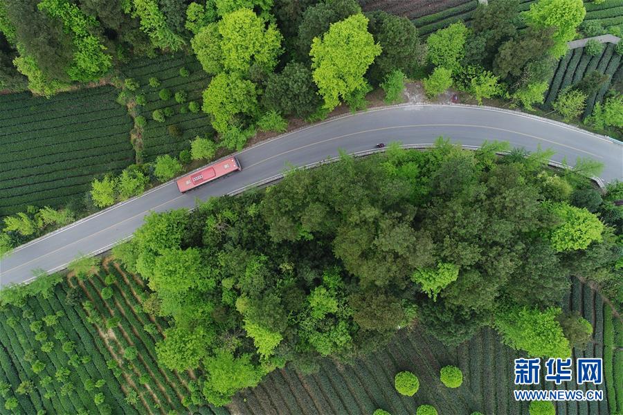 (新華全媒頭條·圖文互動)(6)希望灑在金色田野——寫在鄉村振興戰略實施一周年之際