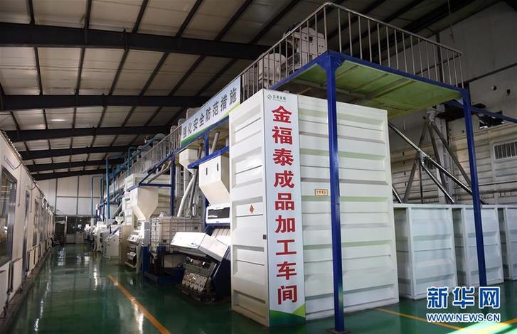 (在習近平新時代中國特色社會主義思想指引下——新時代新作為新篇章·圖文互動)(5)“北大倉”加速“市場化之變”