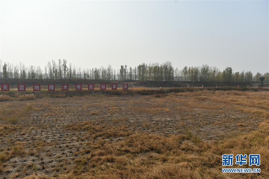 (在習近平新時代中國特色社會主義思想指引下·慶祝改革開放40周年·綠色發展)(新華全媒頭條·圖文互動)(6)綠色發展:書寫在中國大地上的美麗畫卷