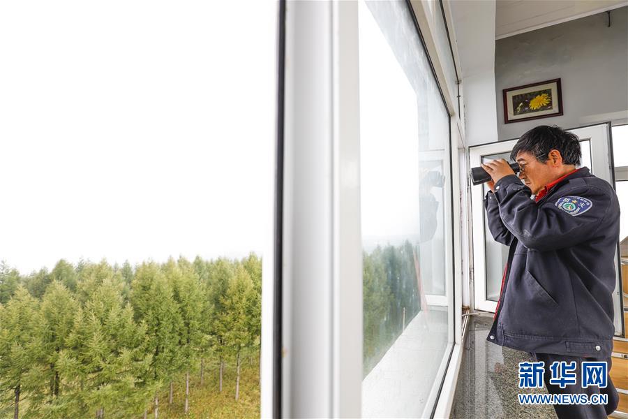 (新華全媒頭條·圖文互動(dòng))(3)那一抹綠色,走進(jìn)越來(lái)越多人心里——河北塞罕壩續(xù)寫新時(shí)代綠色傳奇