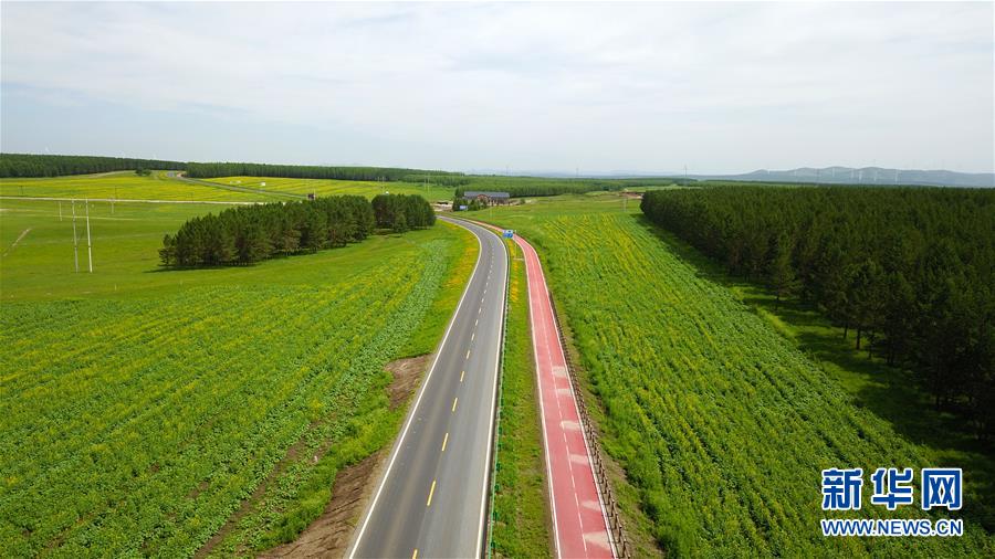 (新華全媒頭條·圖文互動(dòng))(4)那一抹綠色,走進(jìn)越來(lái)越多人心里——河北塞罕壩續(xù)寫新時(shí)代綠色傳奇