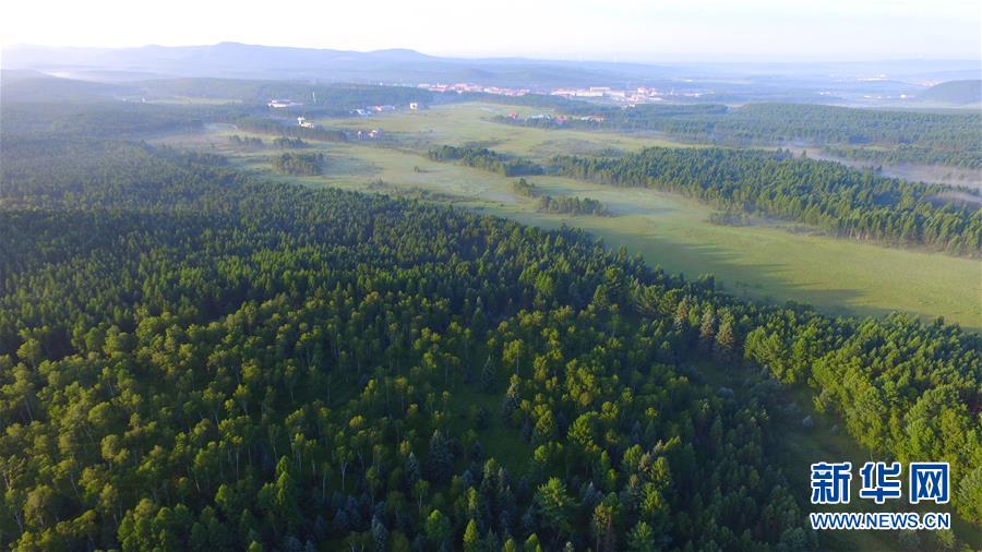 (新華全媒頭條·圖文互動(dòng))(5)那一抹綠色,走進(jìn)越來(lái)越多人心里——河北塞罕壩續(xù)寫新時(shí)代綠色傳奇