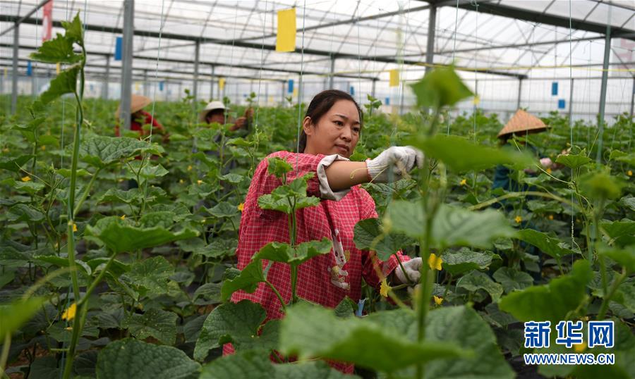 （新華全媒頭條·圖文互動）（11）心中有夢想，腳下就有力量——寫在“中國夢”提出六周年之際