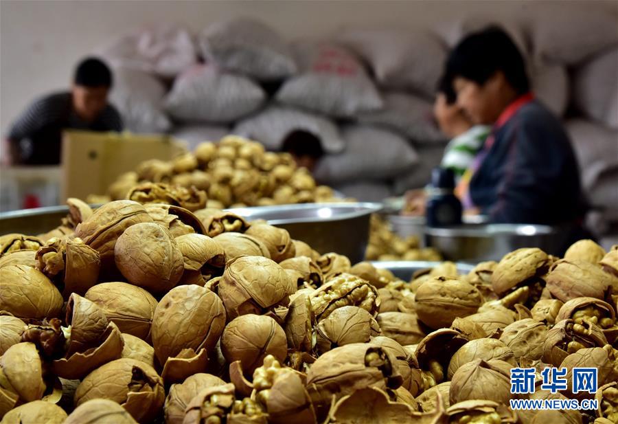 （新華全媒頭條·圖文互動）（12）心中有夢想，腳下就有力量——寫在“中國夢”提出六周年之際