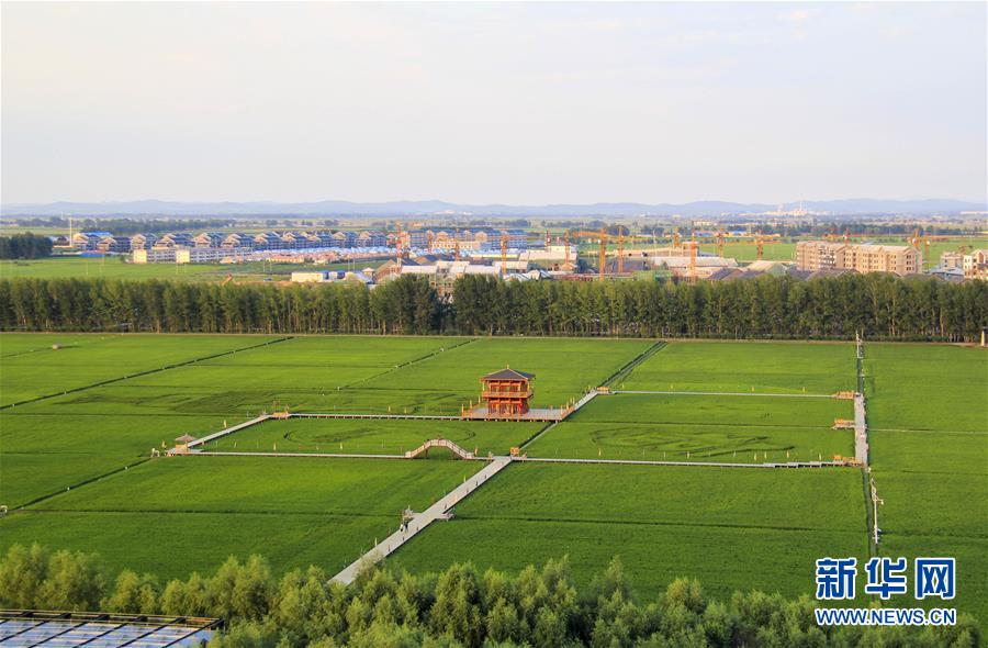 (慶祝改革開放40周年基層行·鄉鎮篇·圖文互動)(3)三產融合培育鄉村振興熱土——吉林孤店子鎮“村變城”背后的故事