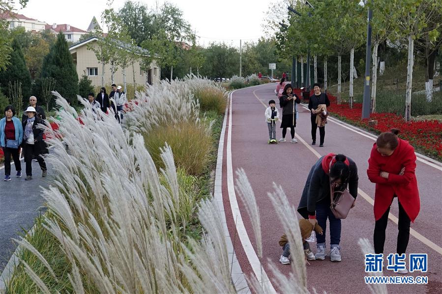 （新華全媒頭條&middot;圖文互動）（5）復(fù)蘇的河流&mdash;&mdash;北京涼水河再調(diào)查