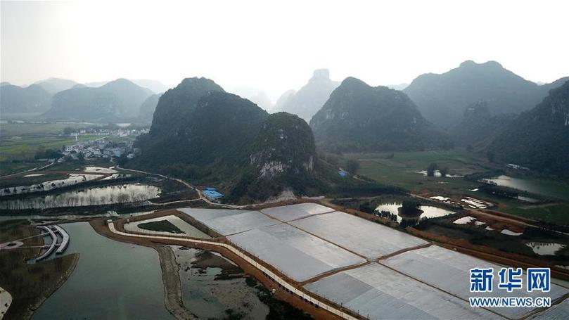 (輝煌60年·壯美新廣西·圖文互動)(9)奮力書寫壯鄉反貧困歷史新篇章——廣西干部群眾接續奮斗脫貧攻堅觀察