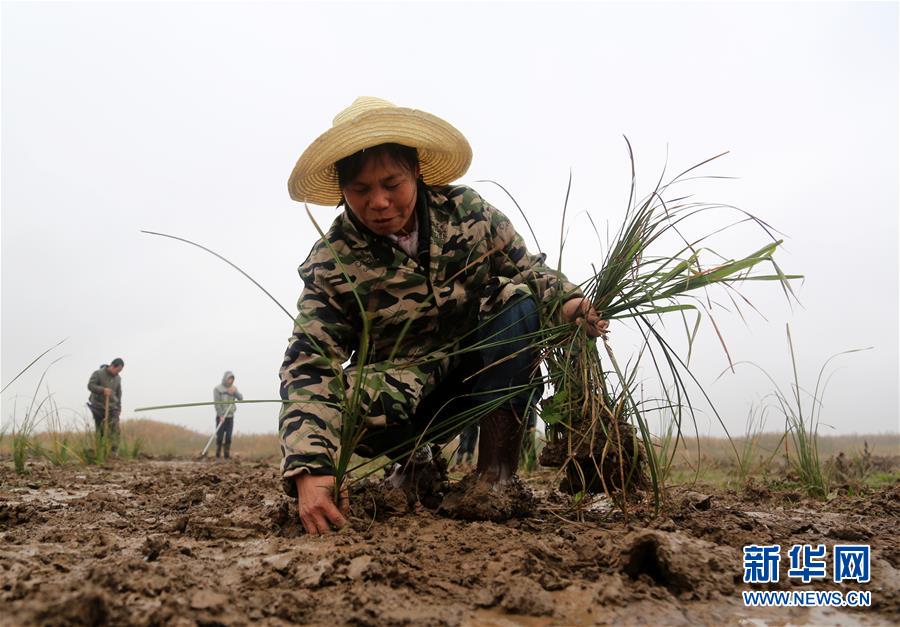 (新華視點(diǎn)·回望2018·圖文互動(dòng))(3)2018年新華社曝光多起破壞生態(tài)事件,記者年底追訪發(fā)現(xiàn)……