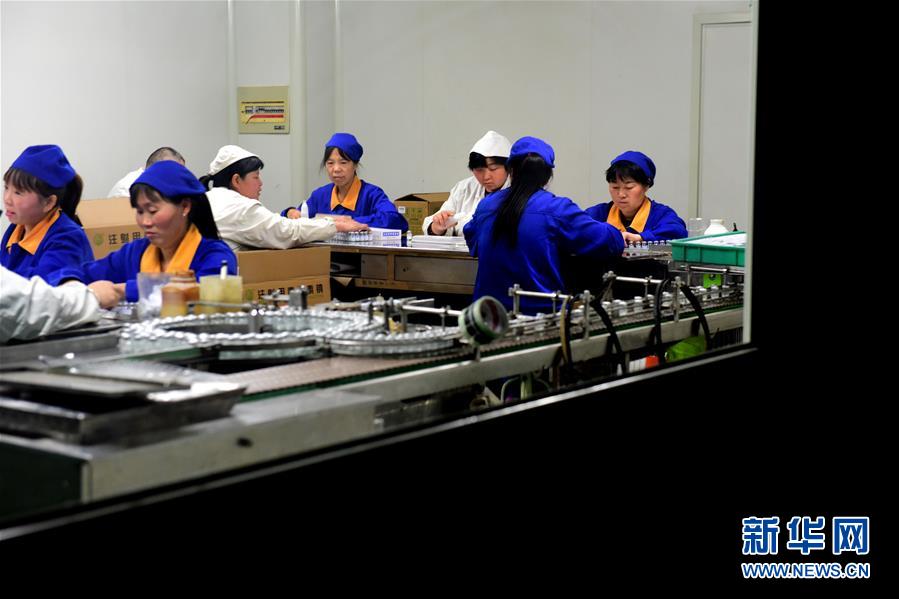 (慶祝改革開放40周年基層行·村莊篇·圖文互動)(4)走向更高質量發展——劉莊的40年“幸福路”