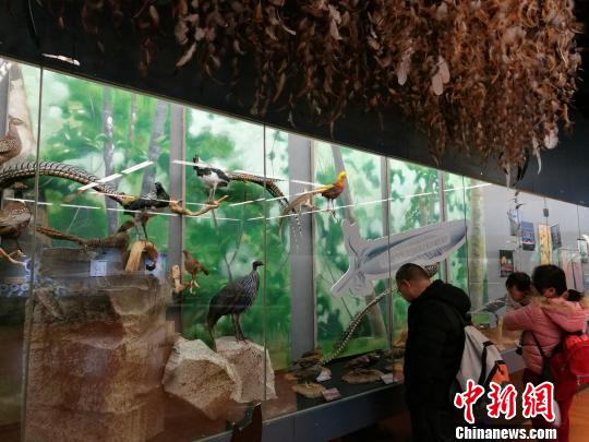 圖為展覽現場。 胡遠航 攝