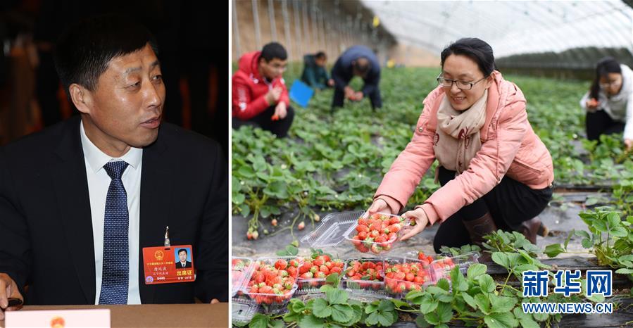 (兩會·影像鏈接)全國人大代表唐廷波:加強落實強農惠農政策 增加農民收入