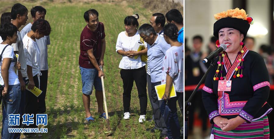 (兩會(huì)·影像鏈接)全國(guó)政協(xié)委員張敏:培養(yǎng)新型農(nóng)民 助力脫貧攻堅(jiān)