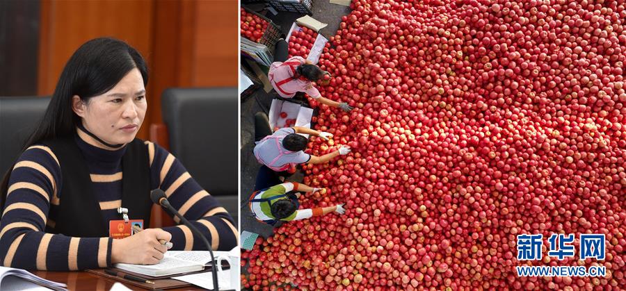 (兩會·影像鏈接)全國人大代表曾云英:新型農(nóng)業(yè)將迎來高質(zhì)量發(fā)展的機(jī)遇