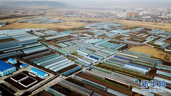 (在習近平新時代中國特色社會主義思想指引下——新時代新作為新篇章·鄉村振興戰略·圖文互動)(5)“十五連豐”譜新篇——端牢“中國飯碗”的龍江實踐