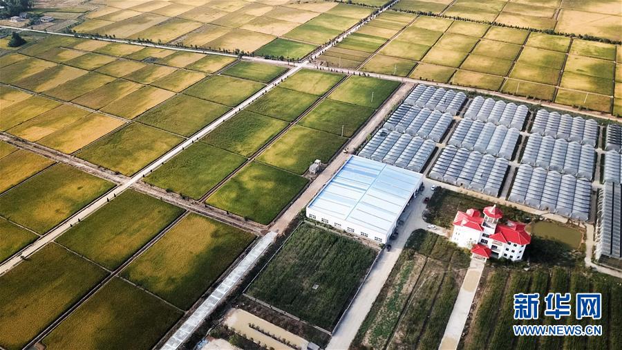 （新華全媒頭條·愛國情 奮斗者·圖文互動）（8）一個村的奮斗，一個時代的巨變——記敢“蹚新路”的小崗人