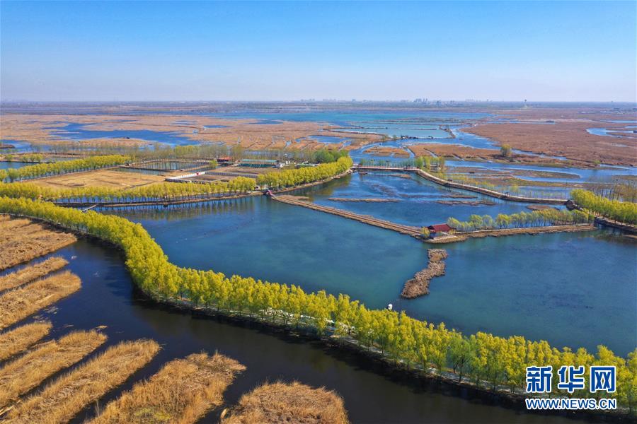 （新華全媒頭條&middot;圖文互動）（5）奮進，向著未來之城！&mdash;&mdash;河北雄安新區建設發展兩周年紀實