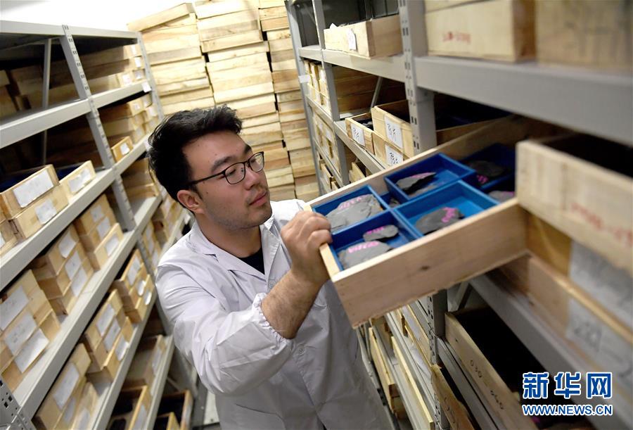 (新華全媒頭條·圖文互動)(4)探尋5億年前“生命大爆炸”之奧秘——中國科學(xué)家發(fā)現(xiàn)寒武紀(jì)“化石寶庫”清江生物群紀(jì)實