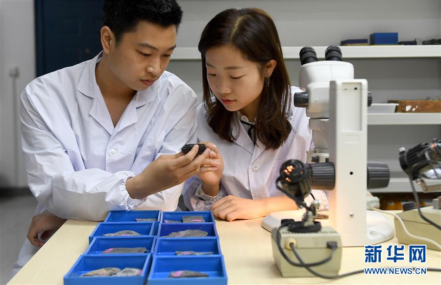 (新華全媒頭條·圖文互動)(5)探尋5億年前“生命大爆炸”之奧秘——中國科學(xué)家發(fā)現(xiàn)寒武紀(jì)“化石寶庫”清江生物群紀(jì)實