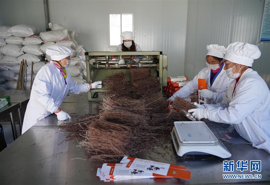 (走基層 聽民聲·圖文互動)(5)電商扶貧 讓陜西山區農業擁抱“藍海”