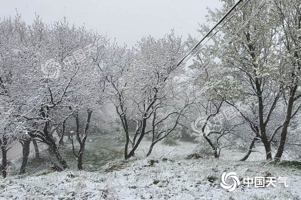 冷空氣要撤啦！今日全國降水整體弱 華南仍有強對流