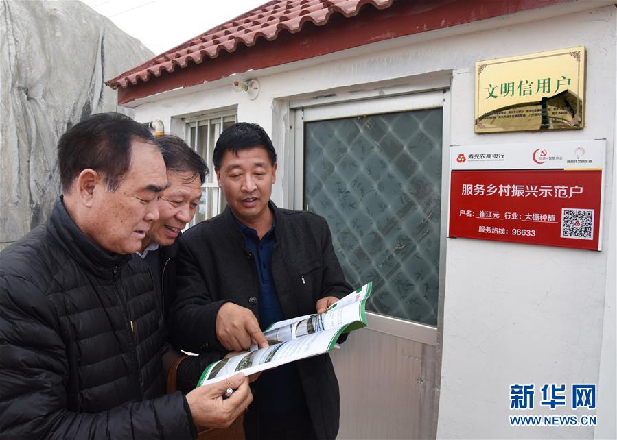 (壯麗70年·奮斗新時代·圖文互動)(6)山東壽光:一棵“菜”興一座城