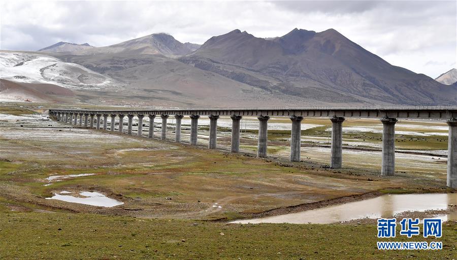 (新華全媒頭條·壯麗70年·奮斗新時代·圖文互動)(14)開拓雪域高原的夢想之路——來自青藏鐵路的蹲點報告