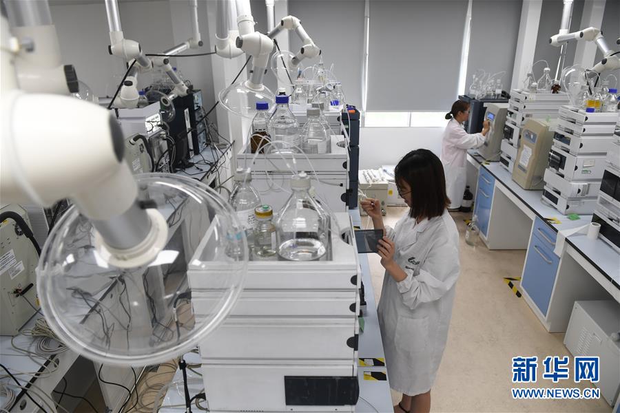 （新華全媒頭條·中國經濟基層行·圖文互動）（6）看！這就是中國經濟的信心——當前中國經濟觀察之一