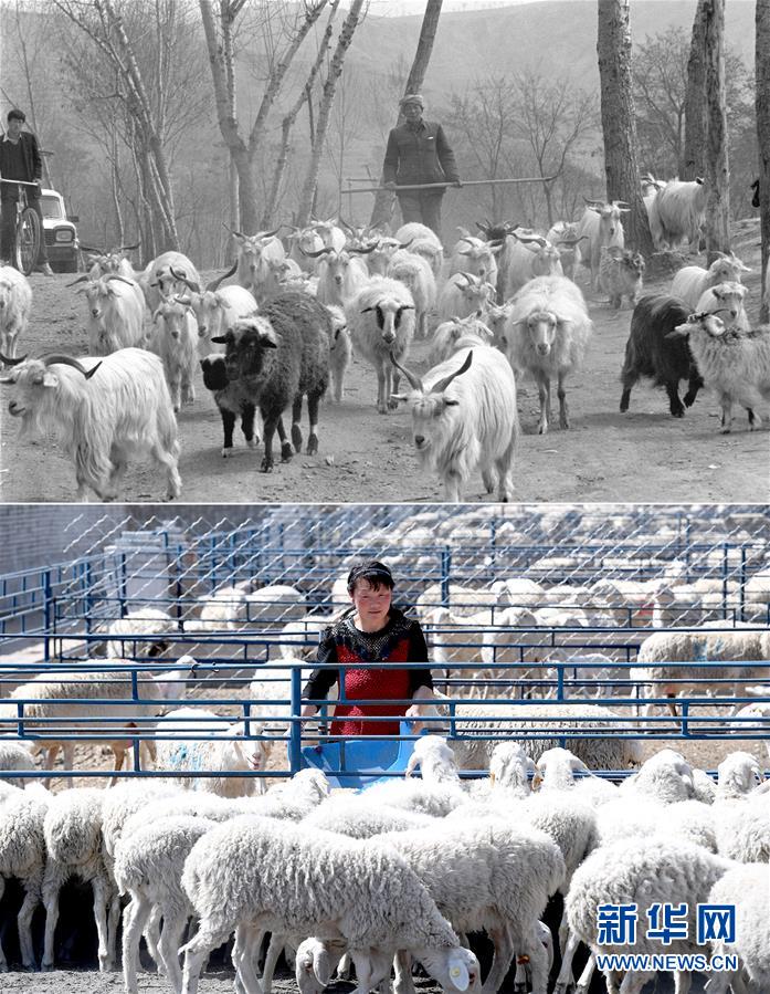 (新華全媒頭條·圖文互動)(4)不忘初心使命 永立時代潮頭——寫在中國共產黨成立98周年之際