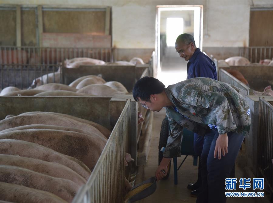 （新華全媒頭條&middot;圖文互動）（2）咱們村里的年輕人&mdash;&mdash;記奮戰在貴州脫貧攻堅一線的青年