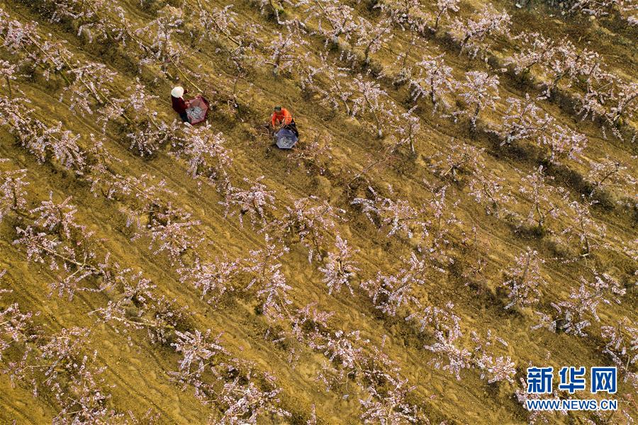 （在習近平新時代中國特色社會主義思想指引下&mdash;&mdash;新時代新作為新篇章&middot;圖文互動）（3）中條山下綠意濃&mdash;&mdash;一個&ldquo;資源窮縣&rdquo;的生態發展之路